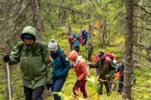 Kurset Pilegrimsvandring vandrer i skogen
