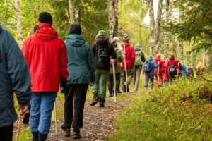 Kursdeltakere vandrer i skogen og reflekterer