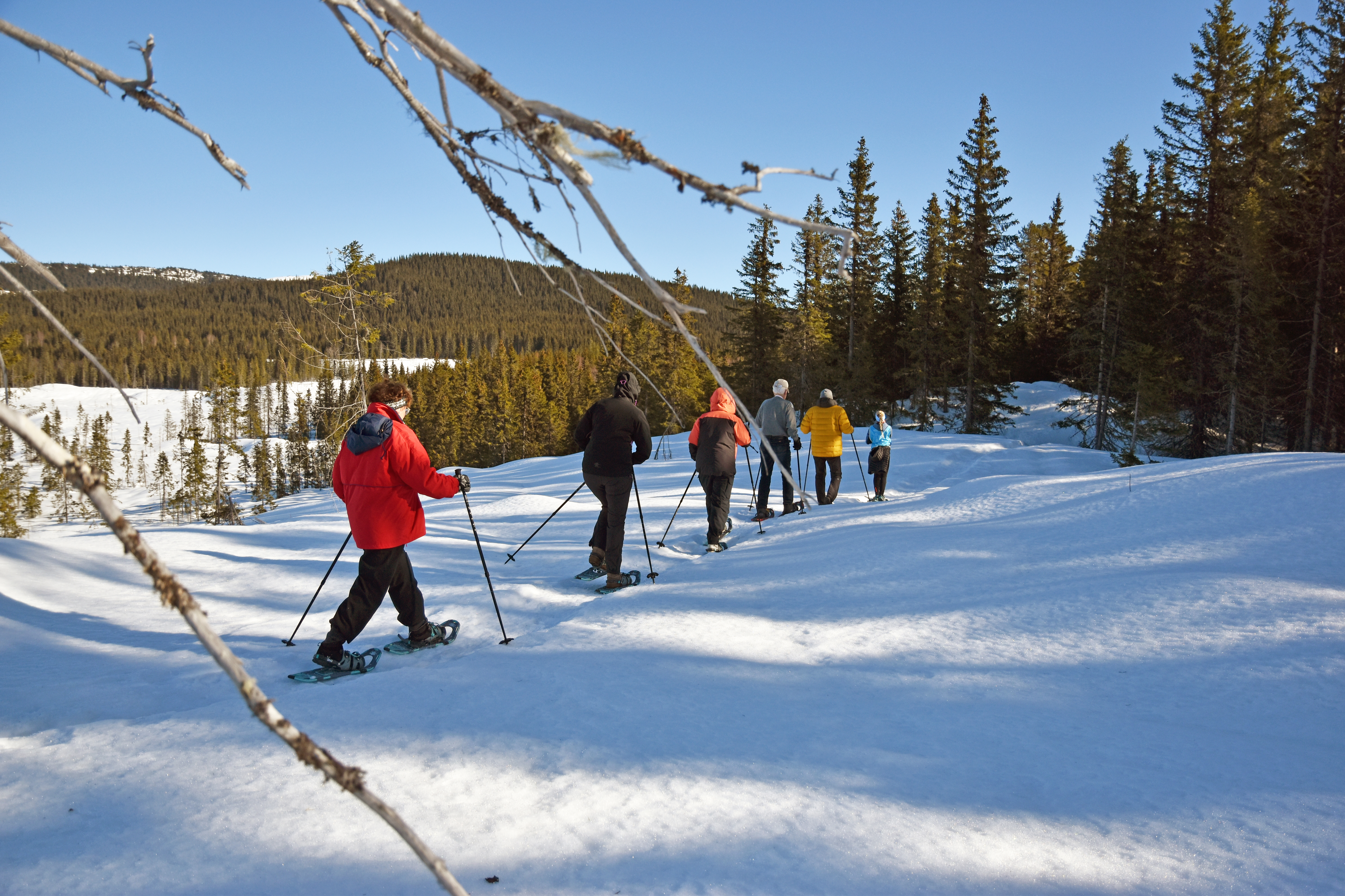 Kursdeltakere på trugetur i nærområdet