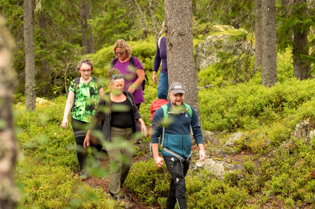 kursdeltakere på skogstur i nydelig høstvær