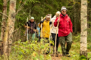 Med kurset pilegrimsvandring, vandrer vi i stillhet i skogen